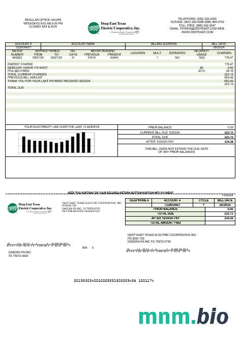 USA Deep East Texas Electric rachunek za usługi komunalne szablon w formacie Word i PDF